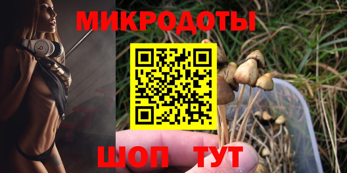 Мелеуз  Псилоцибиновые грибы Psilocybe  Вход с VPN 